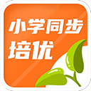 打球就要“夯爆”？虎扑老哥的篮球哲学炸了