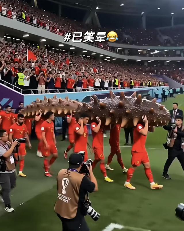 世界杯赛场不见国足，其实他们没“闲着”丨中听 | 中国区|球友会|股份有限公司