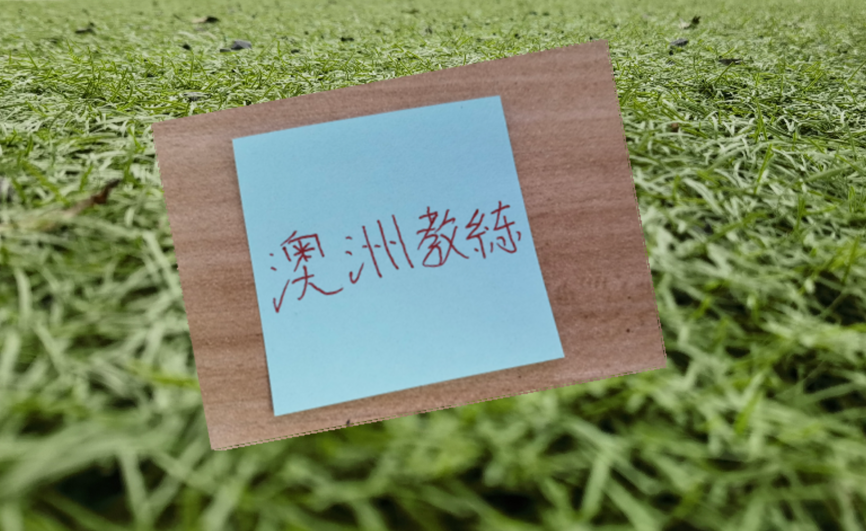 澳大利亚世界杯晋级 本轮有澳籍教练海港 北京国安 成都都赢球 | 中国区|球友会|股份有限公司