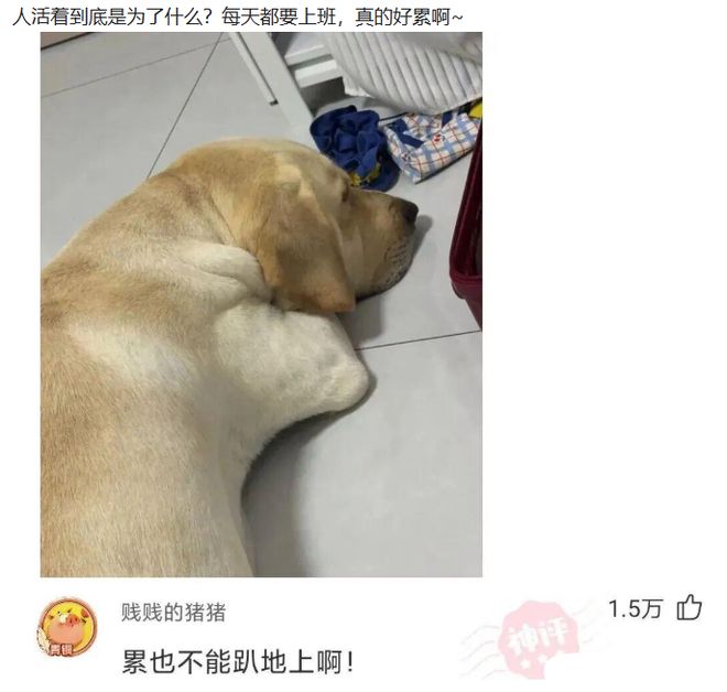 能否逆转？维尼修斯此前在巴西队进球的8场比赛全胜