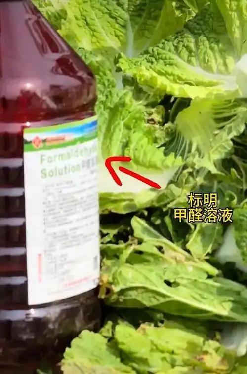 卫报:欧足联俱乐部赛事赞助收入有望突破10亿欧