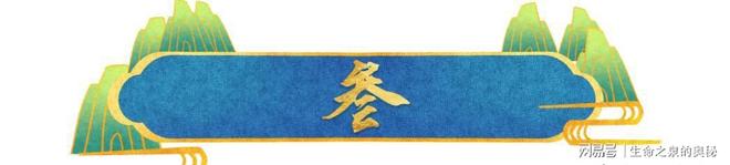 4.7秒准绝杀!黄蜂拿下队史首胜,弄伤阿德巴约惹争议